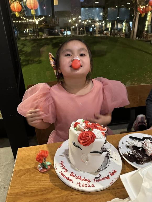 ca sĩ Y Phụng, sao Việt