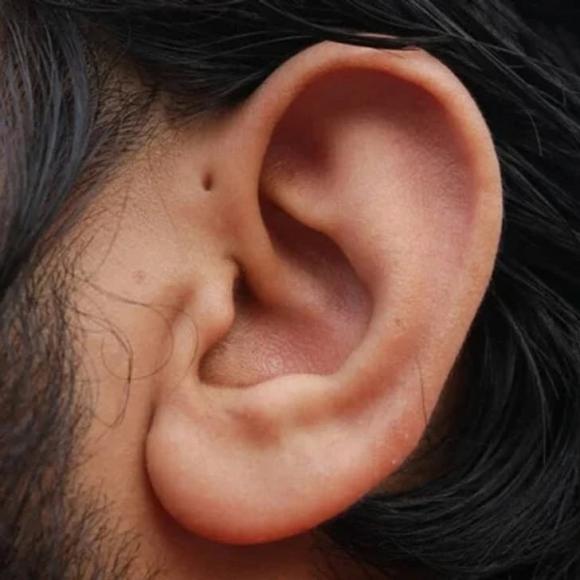 bí ẩn về cơ thể con người, cơ thể người