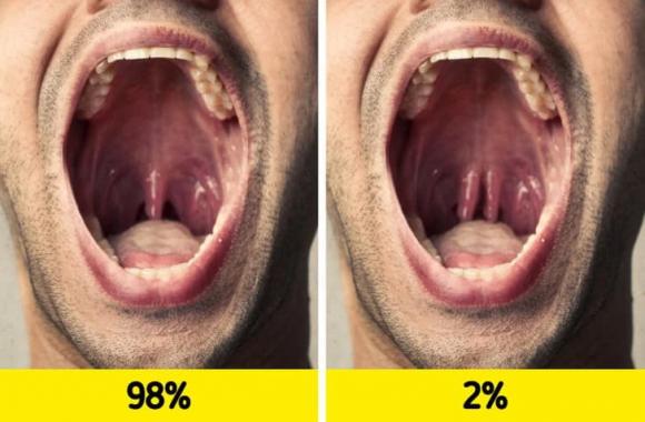 bí ẩn về cơ thể con người, cơ thể người
