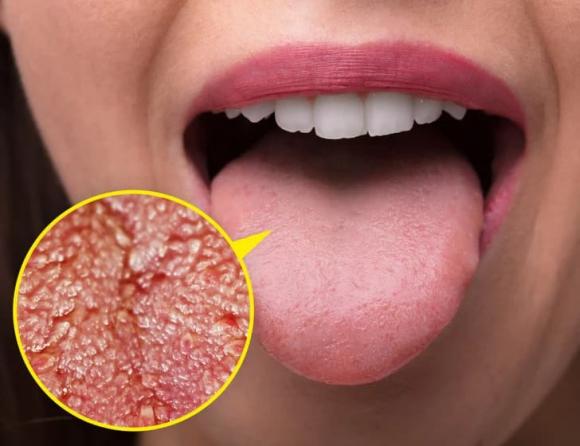 bí ẩn về cơ thể con người, cơ thể người