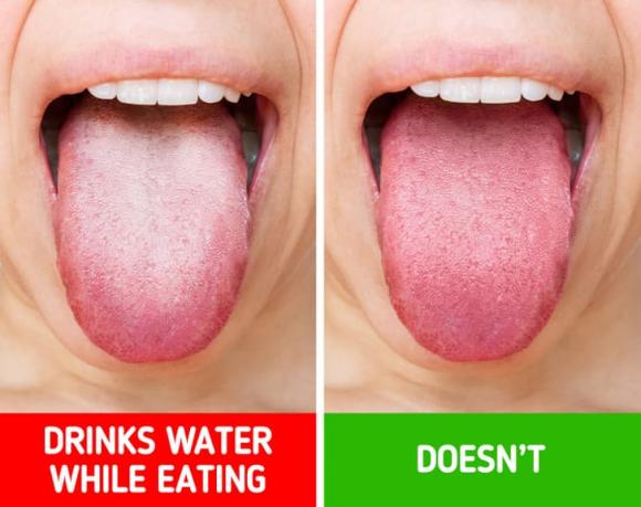 thực phẩm kị nhau, thực phẩm, kết hợp thực phẩm 
