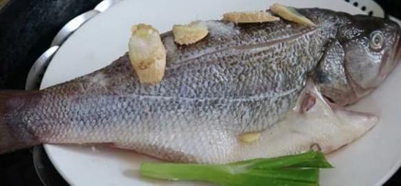 Nguyên liệu: Cá vược, gừng, hành, bia, ớt, muối, xì dầu, dầu ăn