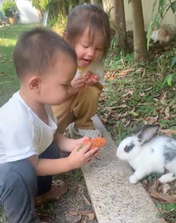 nữ ca sĩ hồ ngọc hà,ca sĩ Hồ Ngọc Hà,diễn viên Kim Lý,sao Việt