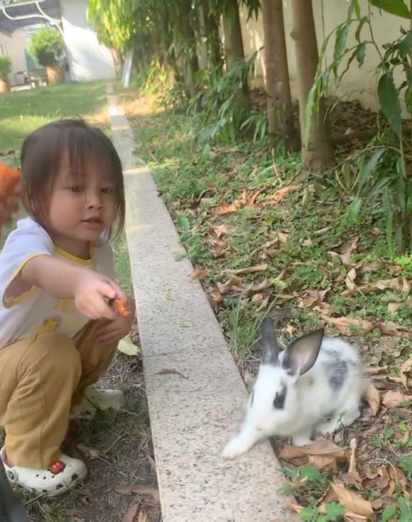 nữ ca sĩ hồ ngọc hà,ca sĩ Hồ Ngọc Hà,diễn viên Kim Lý,sao Việt