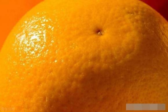 quả cam, cách chọn cam, chọn cam ngon