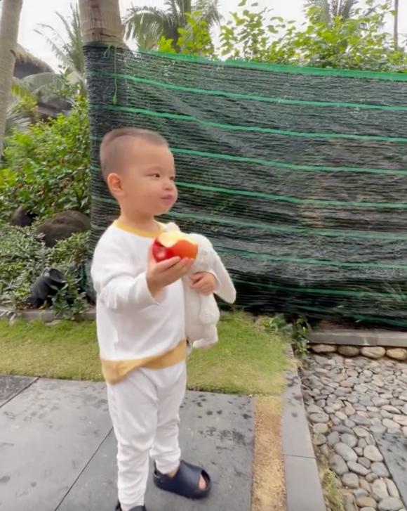 nữ ca sĩ hồ ngọc hà,ca sĩ Hồ Ngọc Hà,diễn viên Kim Lý, cặp sinh đôi nhà Hà Hồ