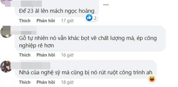 Tự Long, nhà Tự Long, sao việt 