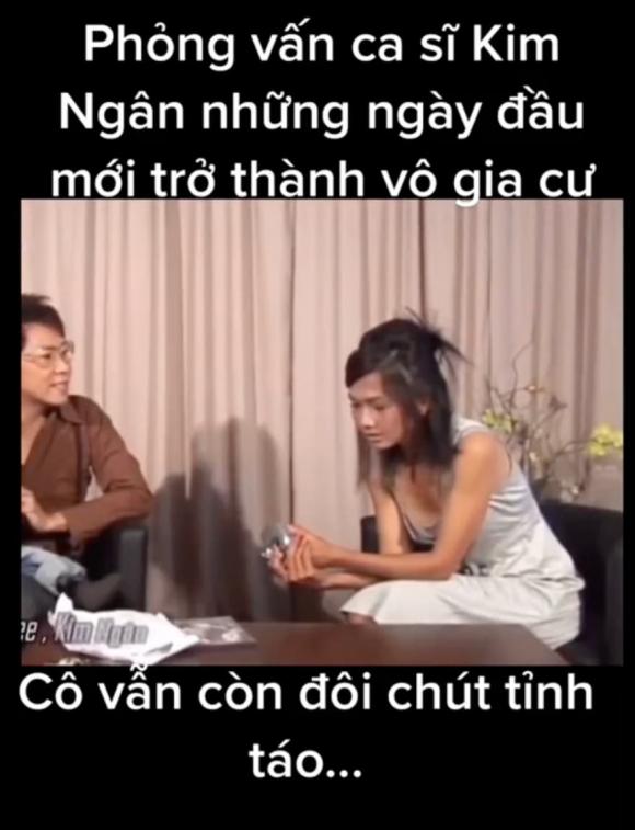 ca sĩ Kim Ngân,sao Việt