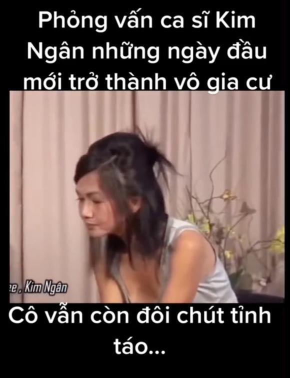 ca sĩ Kim Ngân,sao Việt