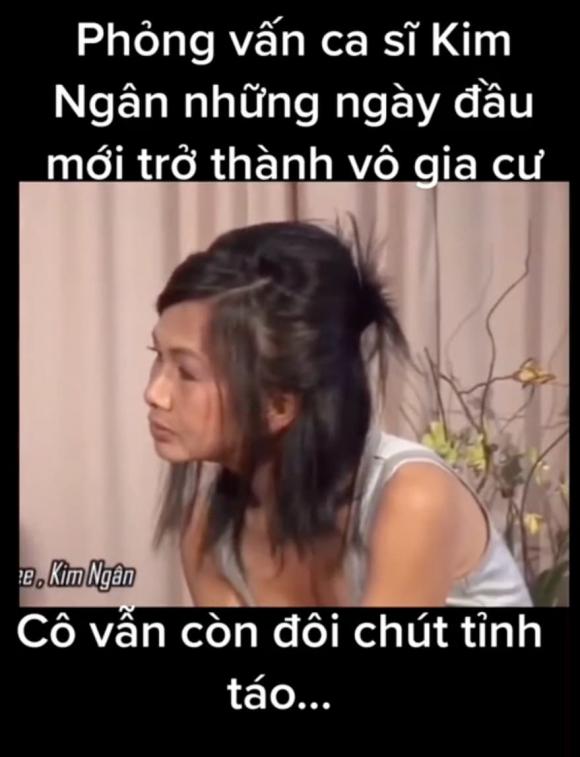 ca sĩ Kim Ngân,sao Việt