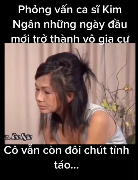 ca sĩ Kim Ngân,sao Việt