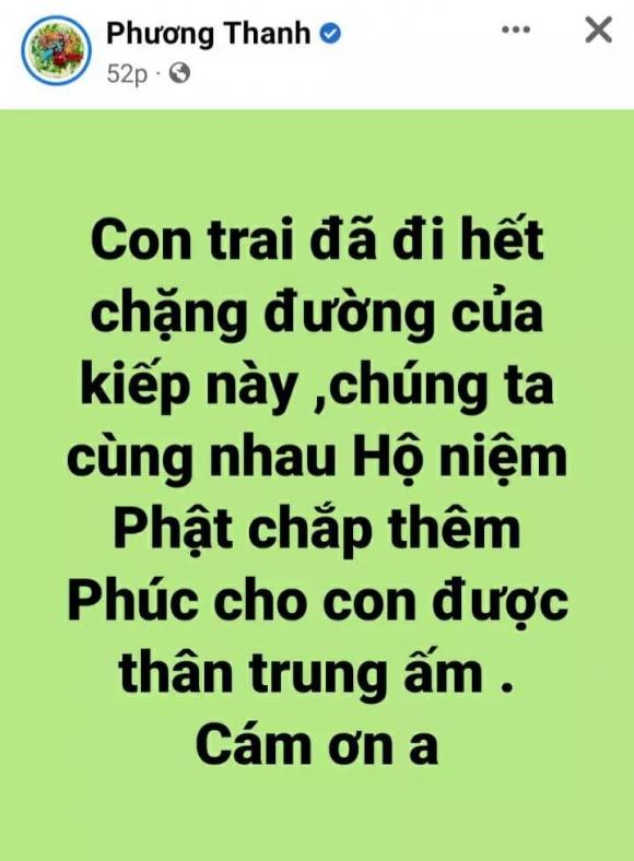 ca sĩ đàm vĩnh hưng,nam ca sĩ Đàm Vĩnh Hưng, ca sĩ Phương Thanh, ca sĩ Hòa Minzy, sao Việt, bé trai rơi xuống ống cống, bé hạo nam