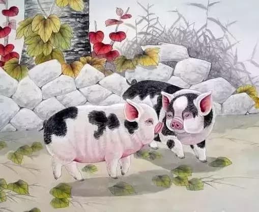 tử vi, con giáp