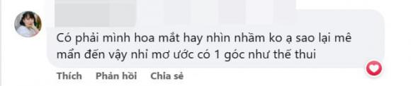 sen đá, vườn sen đá, trồng sen đá trên sân thượng