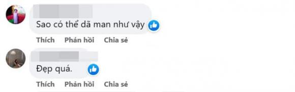 sen đá, vườn sen đá, trồng sen đá trên sân thượng