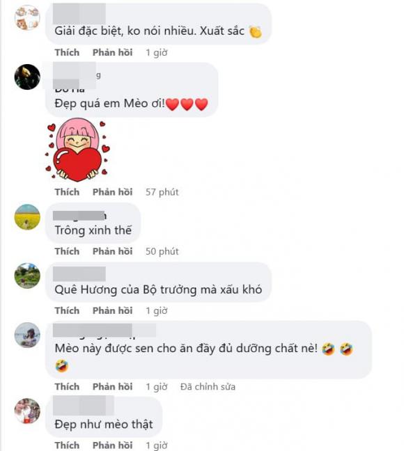 tượng mèo, năm Qúy Mão, linh vật