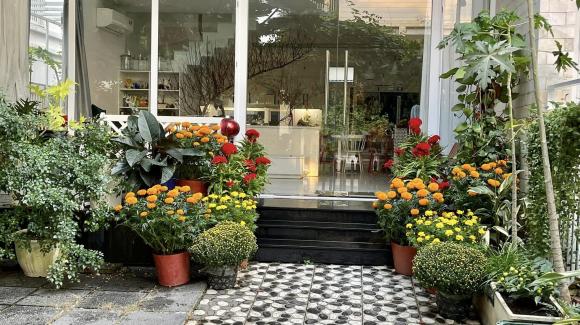 sao Việt, sao Việt trang trí nhà ngày Tết, Tết nguyên đán