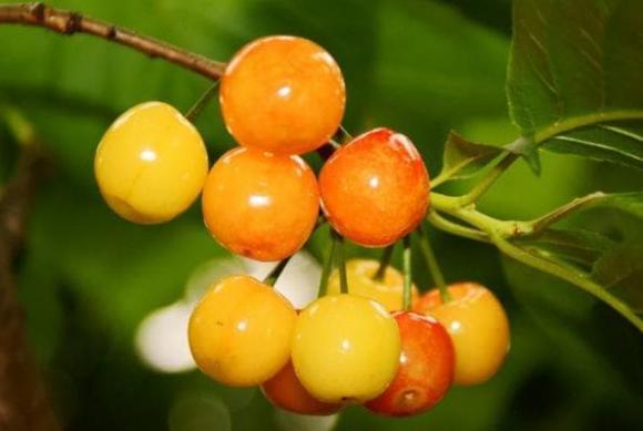 thờ cúng, kiêng kị khi thờ cúng, thờ phật