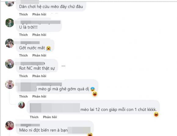 tượng mèo, linh vật mèo, mèo Đồng Nai