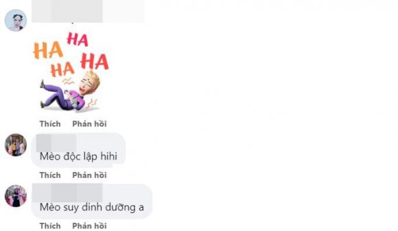 tượng mèo, linh vật mèo, mèo Đồng Nai