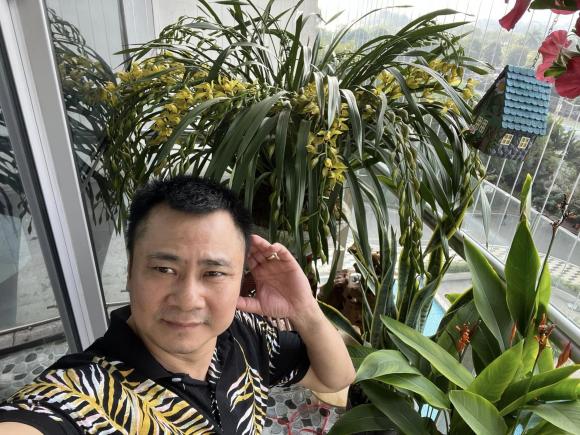 sao Việt, sao Việt trang trí nhà ngày Tết, Tết nguyên đán