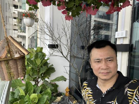 sao Việt, sao Việt trang trí nhà ngày Tết, Tết nguyên đán