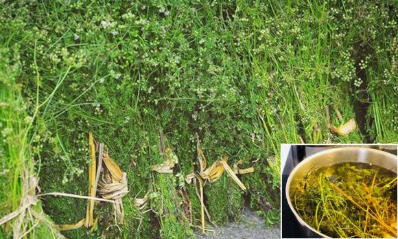 đập phá đồ, chồng đập đồ,phá đồ ngày 30 Tết