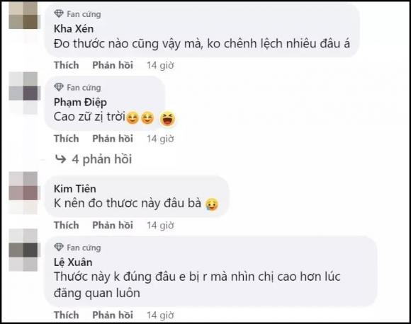 hoa hậu Đỗ Thị Hà, sao Viêt