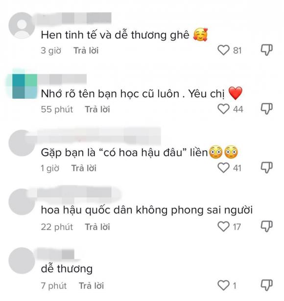 H'Hen Niê, sao Việt, Hoa hậu H'Hen Niê