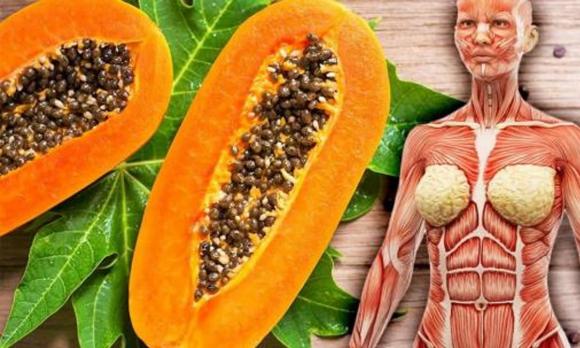Hạt đu đủ, đu đủ, tác dụng của hạt đu đủ