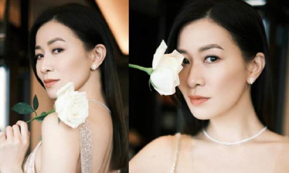 Viên Vịnh Nghi, sao TVB, Hoa hậu Hong Kong