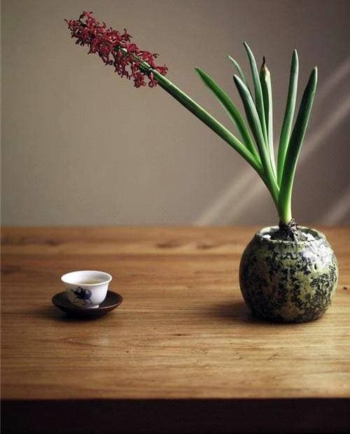 cuộc đời cần biết điều này, những điều cần biết trong đời, câu nói hay của người xưa