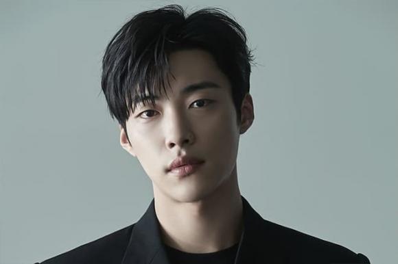 dàn sao Hàn Quốc, sao Hàn đang lên năm 2023, dàn diễn viên K-Drama đang nổi 2023