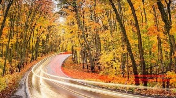 Trắc nghiệm tâm lý, kiểm tra tâm lý, đố vui, con đường