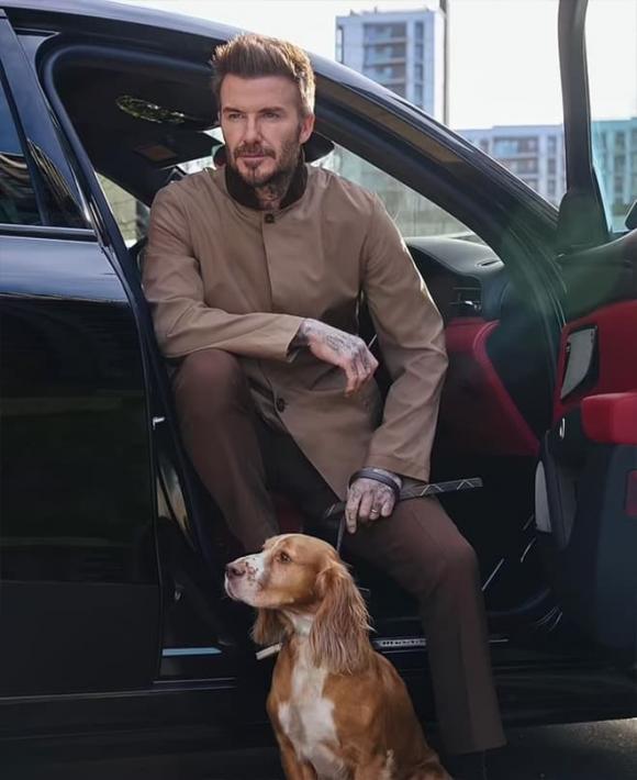 David Beckham, Victoria Beckham, sao Hollywood