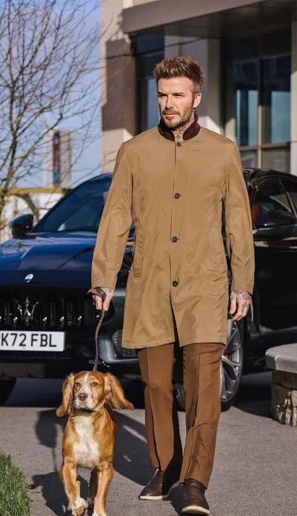 David Beckham, Victoria Beckham, sao Hollywood