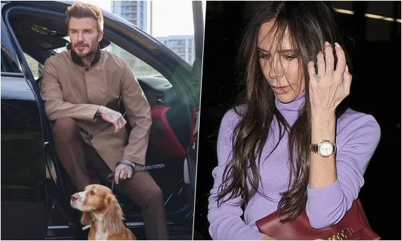  David Beckham và Victoria Beckham, Brooklyn, Romeo, Cruz, Harper, Nicola Petlz