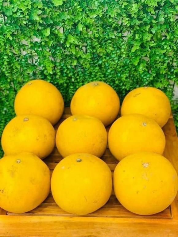 bảo quản bưởi, cách bảo quản bưởi, kiến thức 