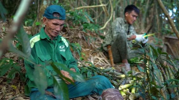 bỏ phố về quê, sống ở bìa rừng, sống cùng ông bà