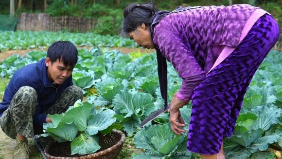 bỏ phố về quê, sống ở bìa rừng, sống cùng ông bà