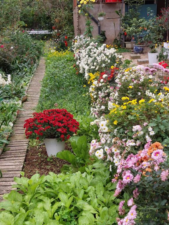 vườn hoa, khu vườn đẹp, trồng hoa