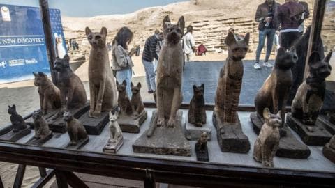 người Ai Cập cổ đại, Ai Cập cổ đại, thú cưng, người Ai Cập nuôi mèo, thần linh, hiến tế