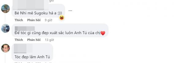 Diệu Nhi, Anh Tú, sao Việt