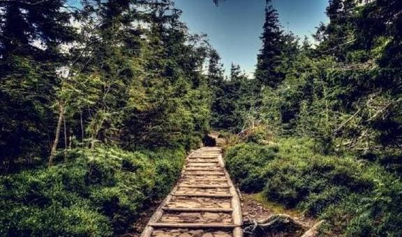 Trắc nghiệm tâm lý, kiểm tra tâm lý