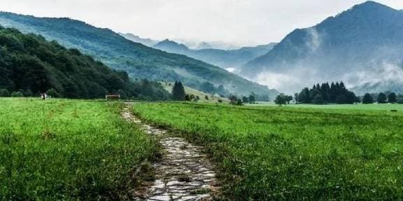 Trắc nghiệm tâm lý, kiểm tra tâm lý