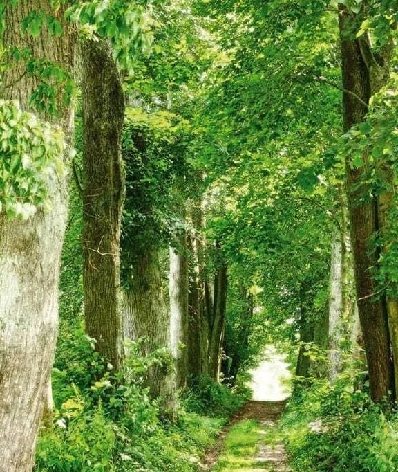 Trắc nghiệm tâm lý, kiểm tra tâm lý