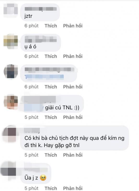 Thảo Nhi Lê, sao Việt, Hoa hậu Hoàn vũ Việt Nam