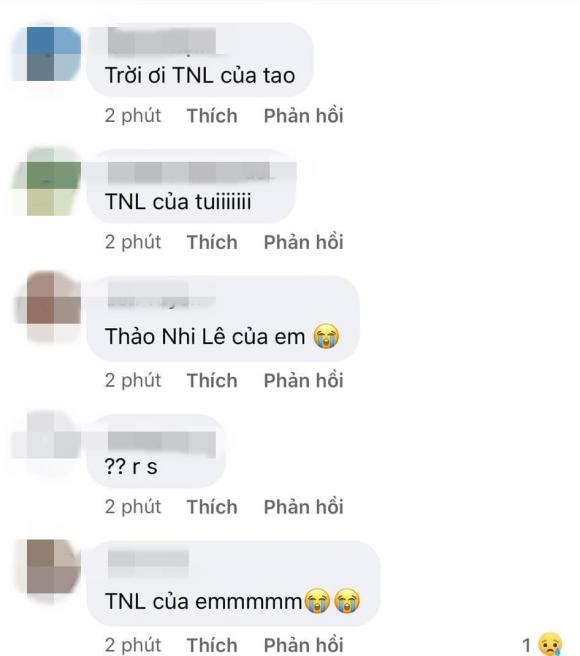 Thảo Nhi Lê, sao Việt, Hoa hậu Hoàn vũ Việt Nam