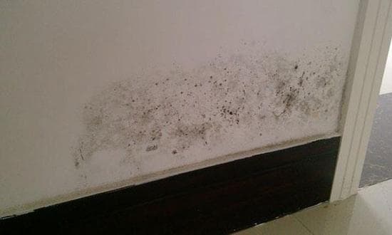 tường mốc, tường phồng rộp, sửa nhà
