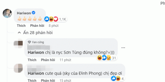 Hari Won, sao Việt, Sơn Tùng